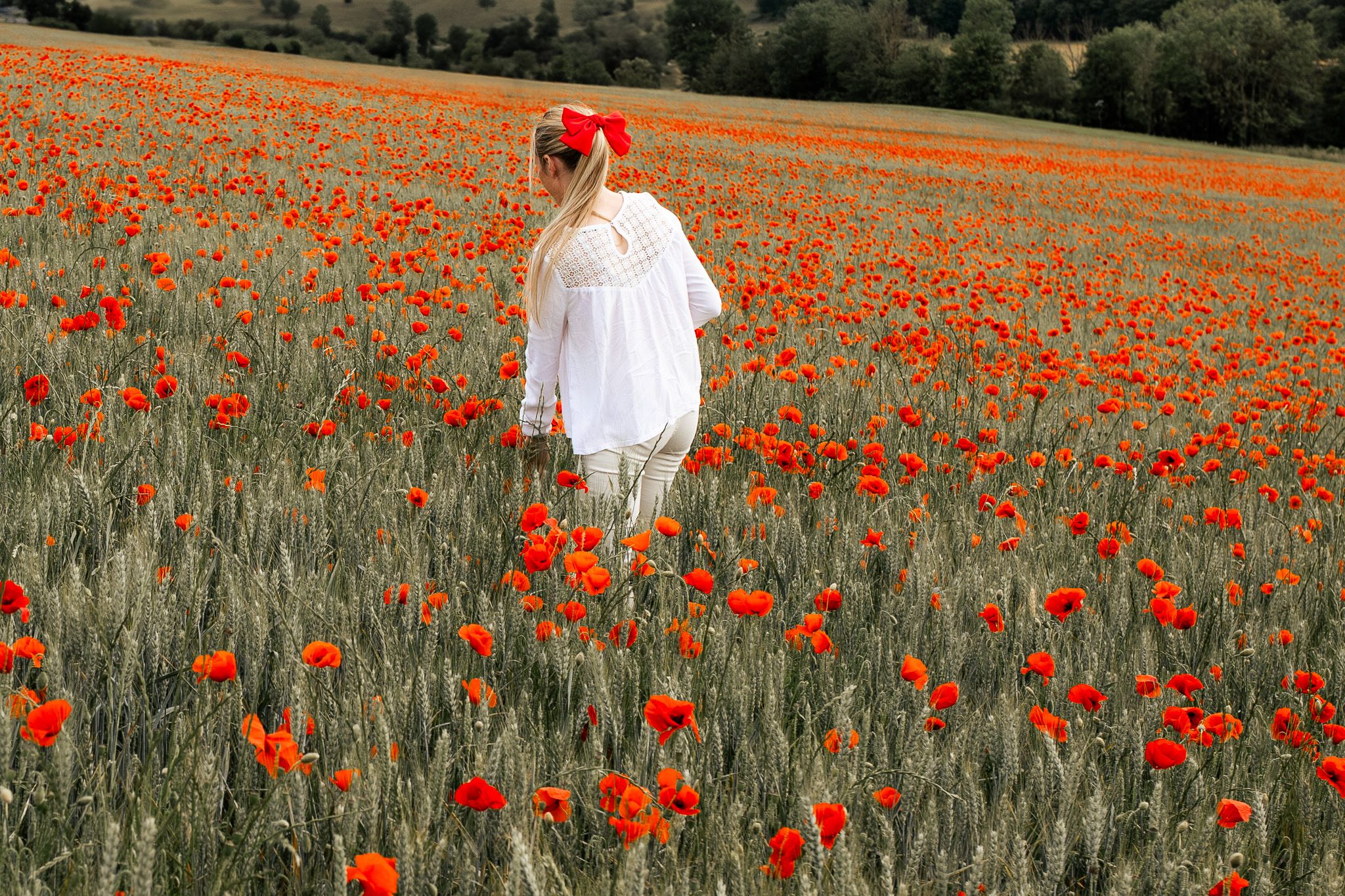 Fille se promenant dans un champ de coquelicots