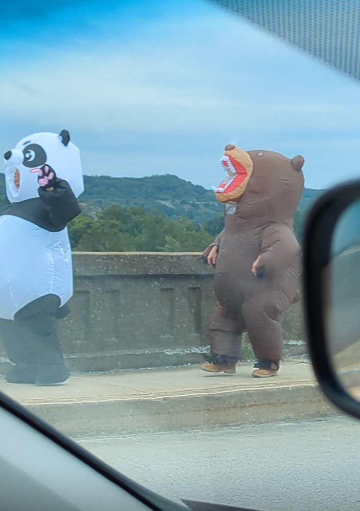 Two people in inflatable costumes, one panda and one brown bear, standing on a road with mountains in the background.