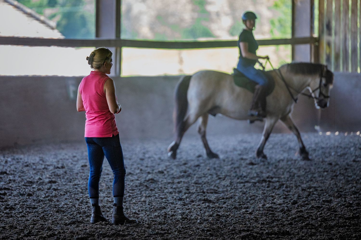 horse photography