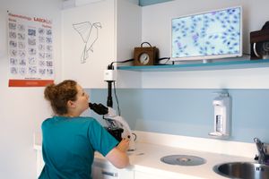 Photographe pour vétérinaires, animaux en Belgique. Photographe pour entrepreneurs.