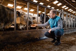 Photographe pour vétérinaires, animaux en Belgique. Photographe pour entrepreneurs.