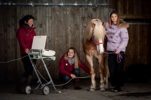 Photographe pour vétérinaires, animaux en Belgique. Photographe pour entrepreneurs.