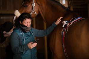 Photographe pour vétérinaires, animaux en Belgique. Photographe pour entrepreneurs.