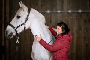 Photographe pour vétérinaires, animaux en Belgique. Photographe pour entrepreneurs.