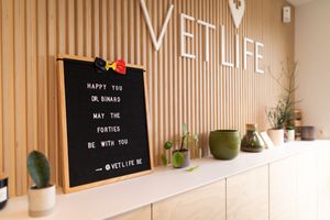 Photographe pour vétérinaires, animaux en Belgique. Photographe pour entrepreneurs.