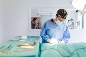 Photographe pour vétérinaires, animaux en Belgique. Photographe pour entrepreneurs.