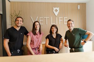 Photographe pour vétérinaires, animaux en Belgique. Photographe pour entrepreneurs.