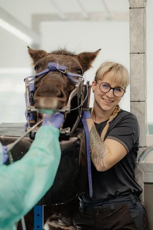 Photographe corporate belgique. Photographe pour vétérinaires en Belgique