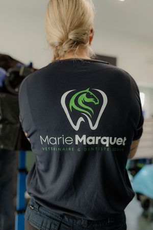 Photographe corporate belgique. Photographe pour vétérinaires en Belgique