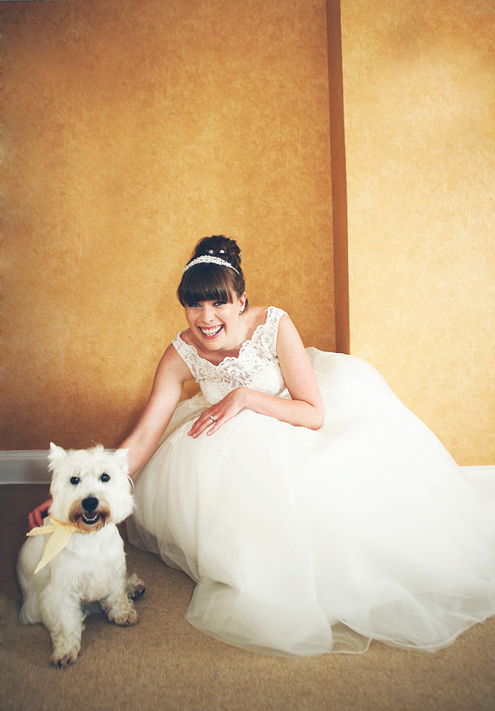 Smiling bride in white lace ballgown crouching beside a fluffy white West Highland Terrier dog with a yellow bow.