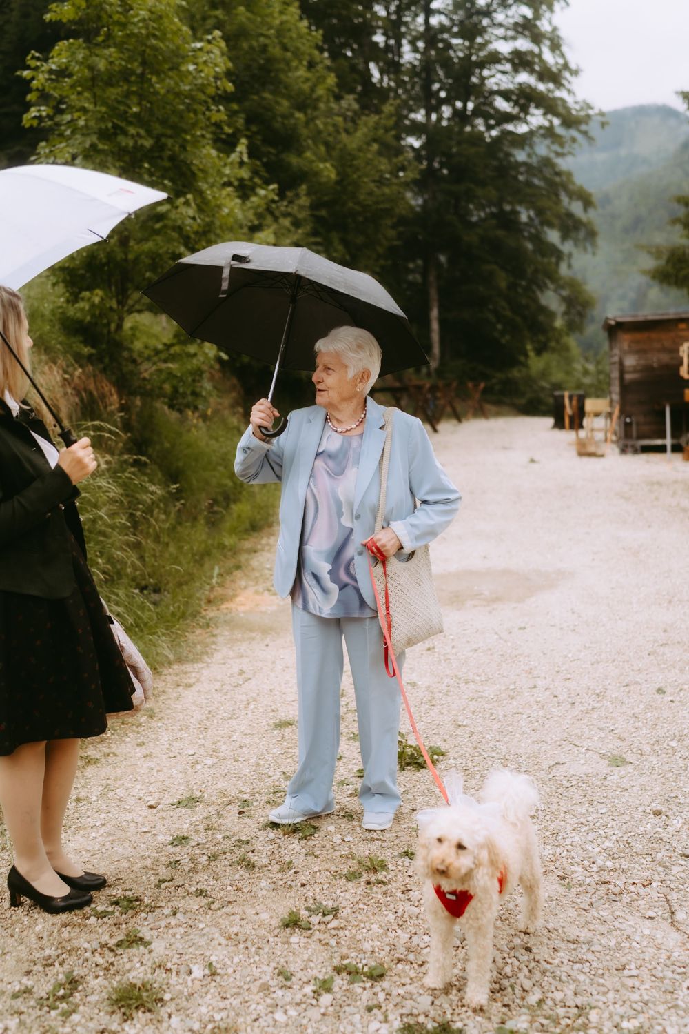 Elderly woman in blue suit walking white dog on red leash while holding umbrella outdoors.
