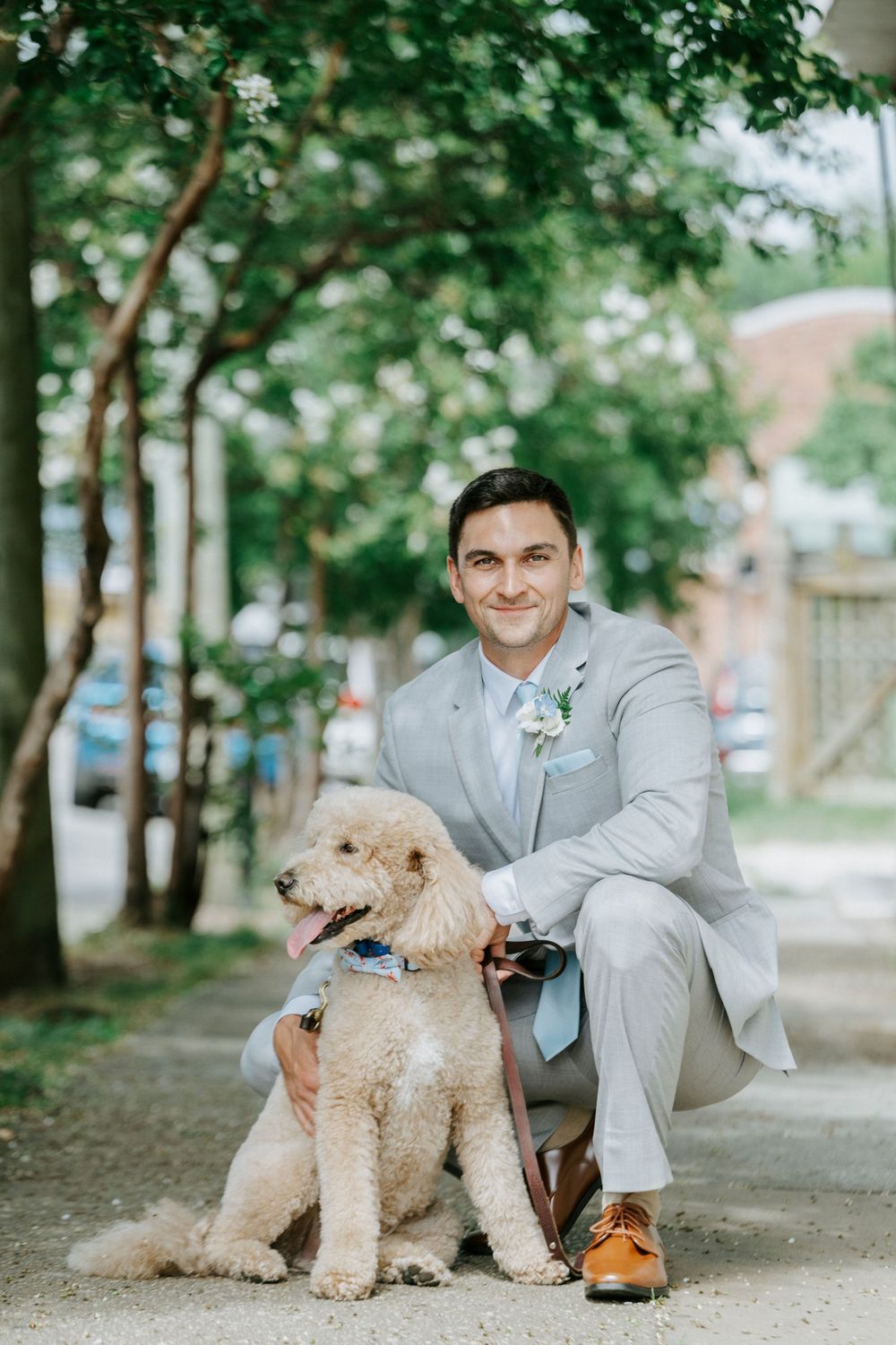 Groom in gray suit kneeling beside a fluffy golden doodle dog on a tree-lined sidewalk.