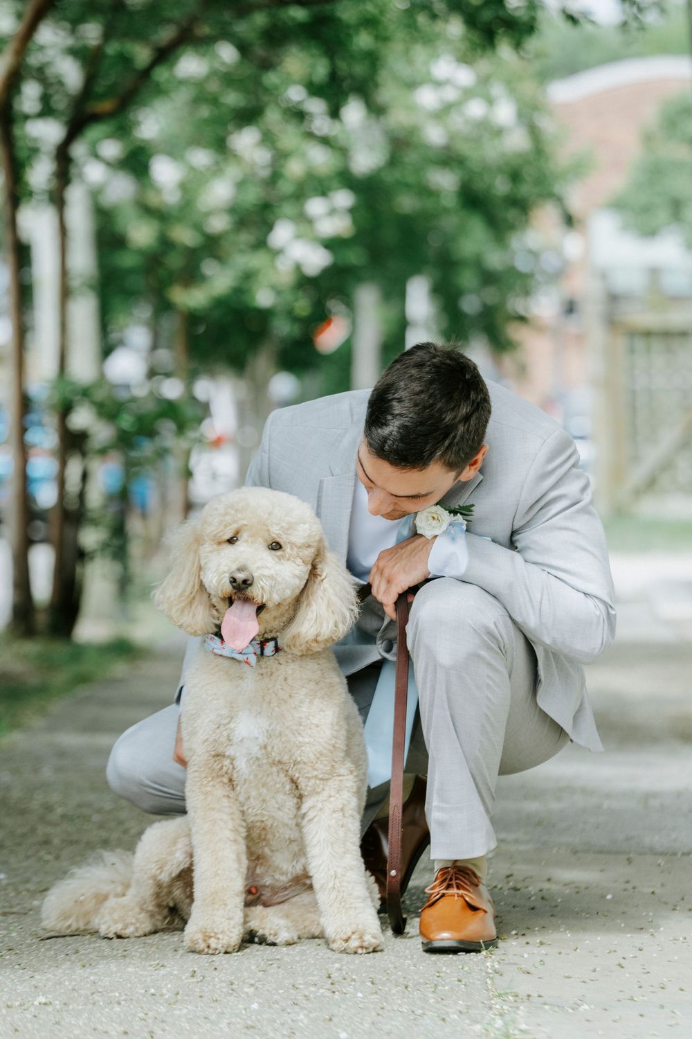 Groom in gray suit crouches beside fluffy golden doodle dog on tree-lined outdoor path.