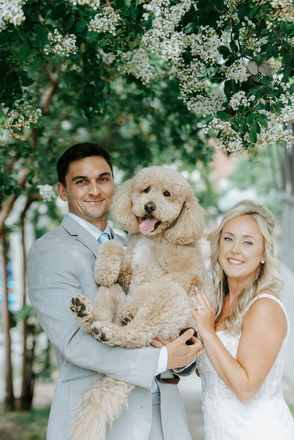 Bride and groom holding their fluffy golden doodle dog under blooming white flower trees.