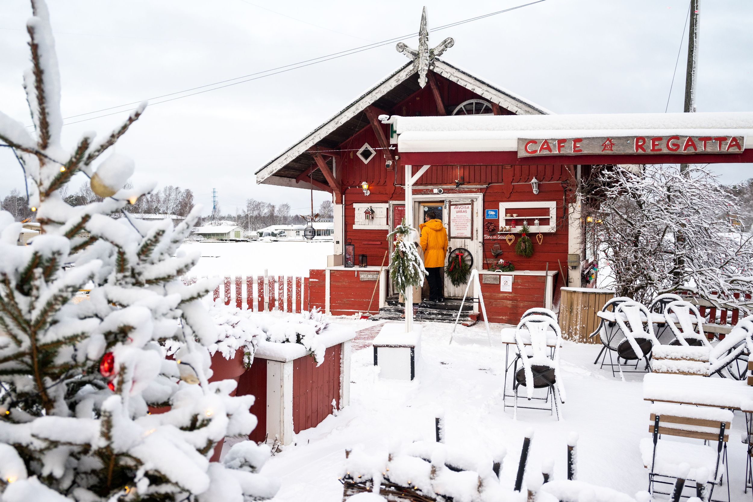 A magical winter landscape in Lapland, Finland, featuring snow-covered trees and the Northern Lights dancing in the sky. Discover how to vis