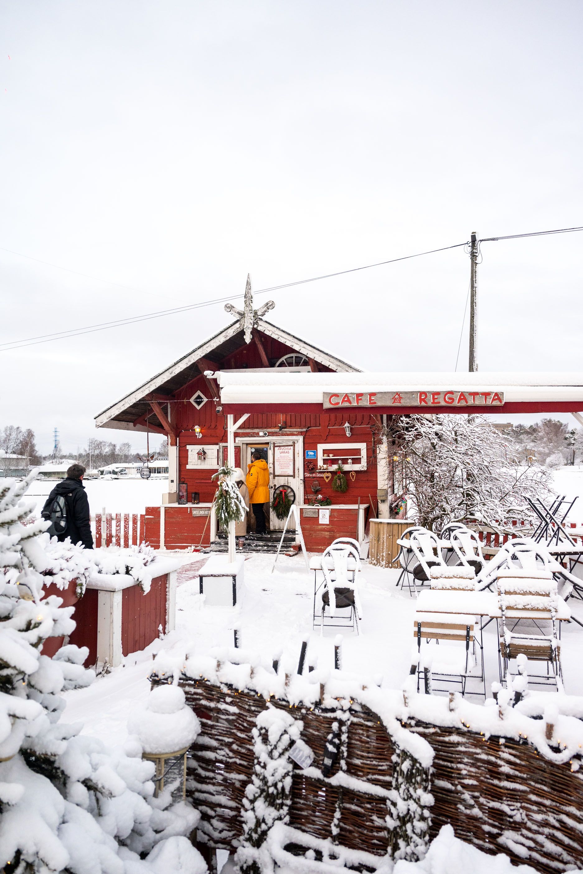 A magical winter landscape in Lapland, Finland, featuring snow-covered trees and the Northern Lights dancing in the sky. Discover how to vis