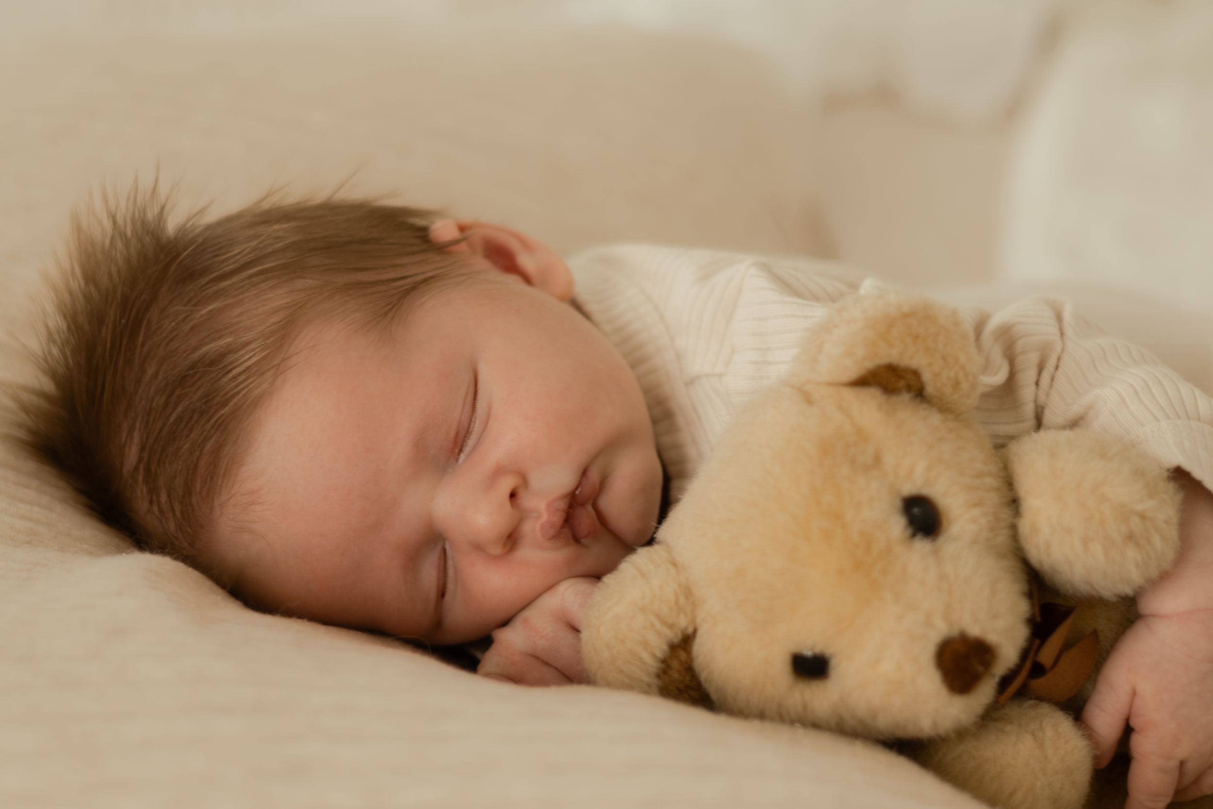 Peaceful newborn baby resting with a plush bear during cozy in-home session in Kennewick WA