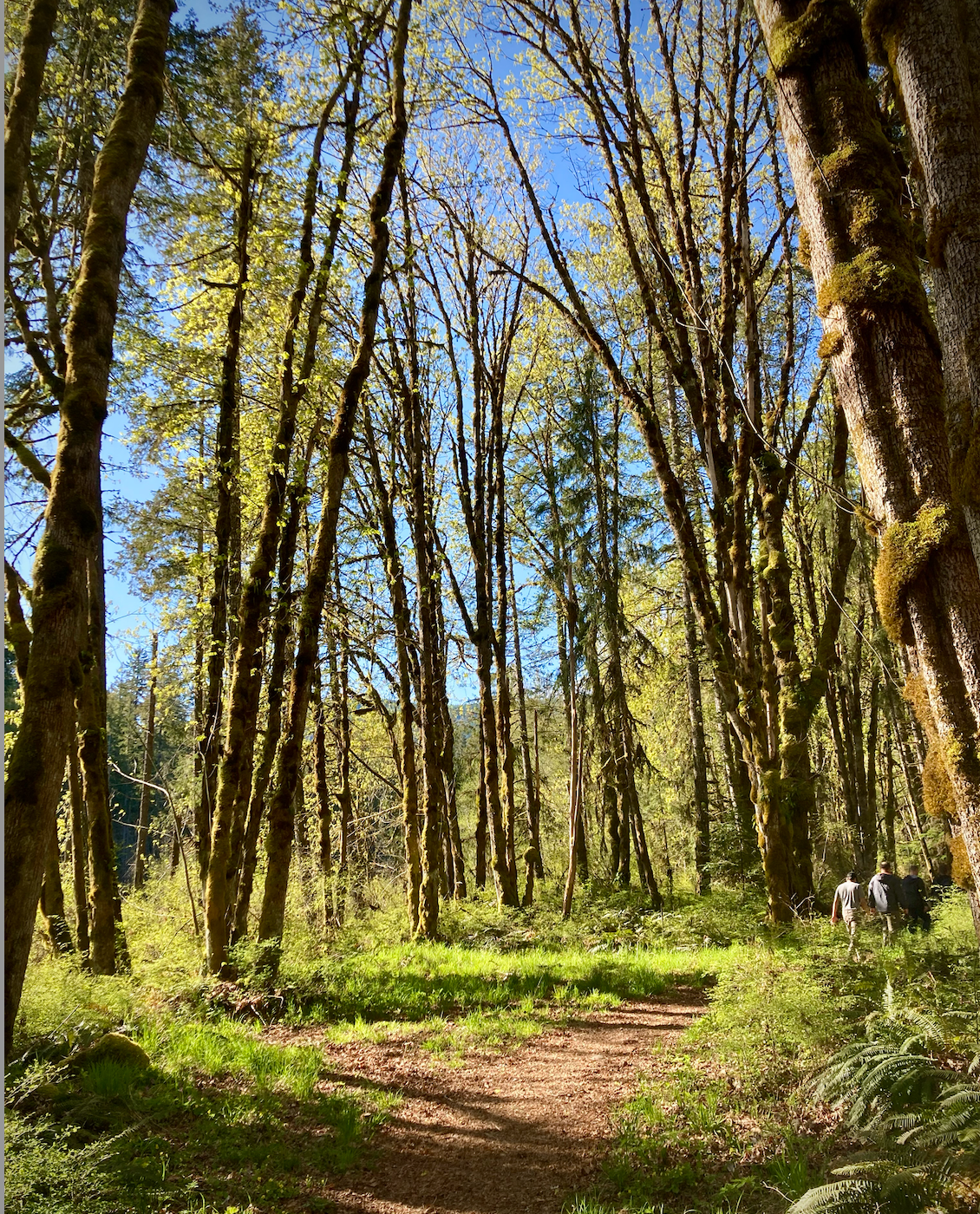 Mens Hike Photo