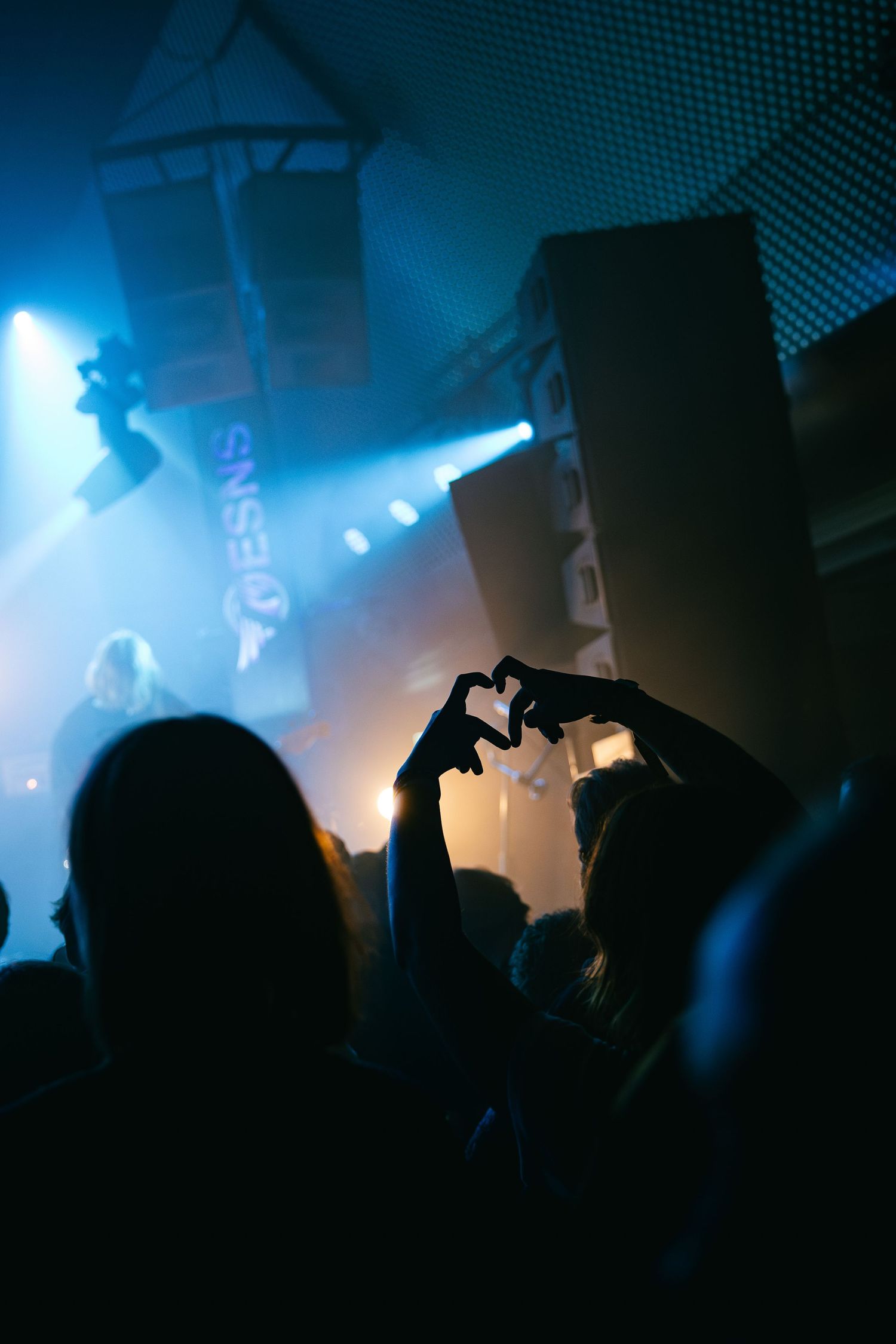 Silhouettes of concert crowd against blue stage lighting and fog creating an atmospheric nightclub scene.