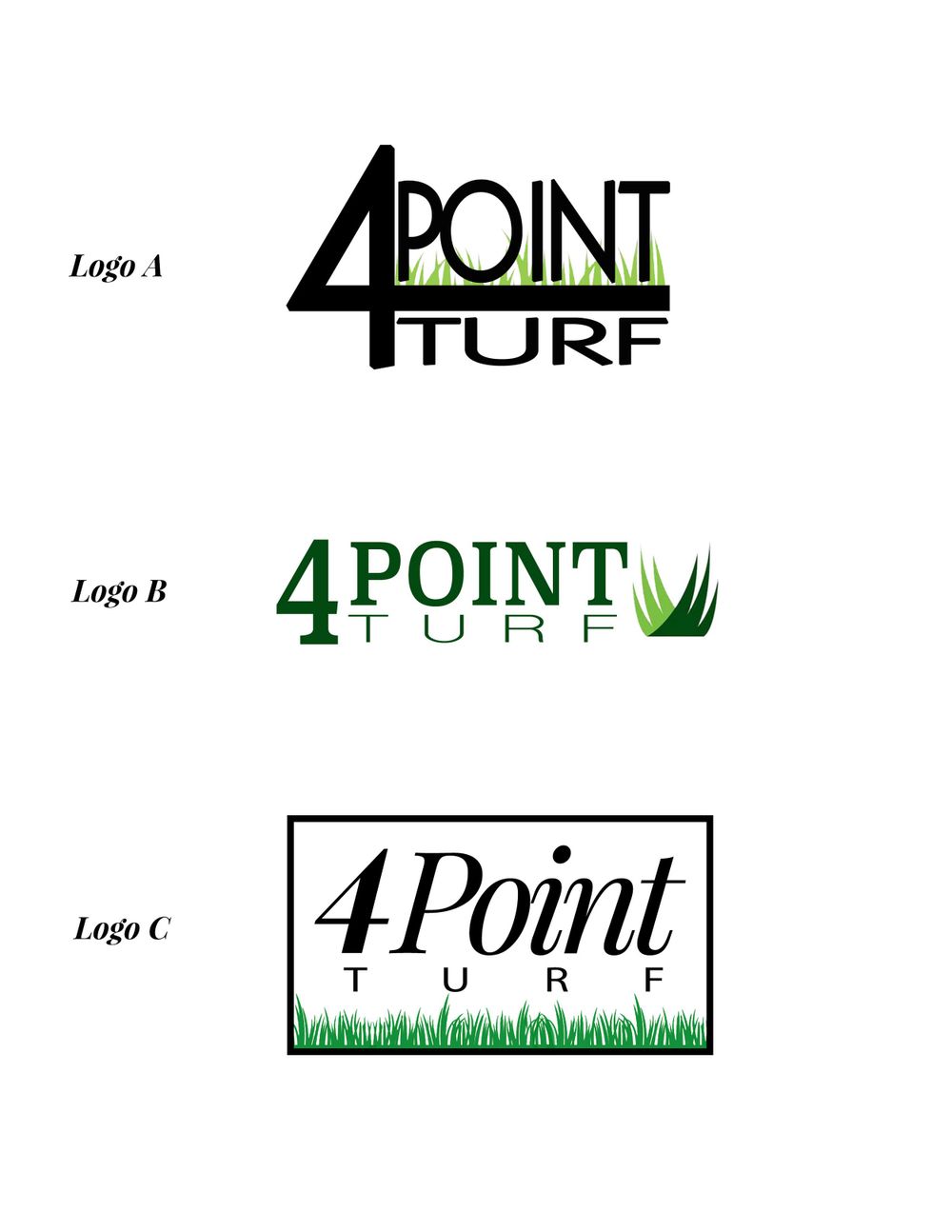 Logo Design Options