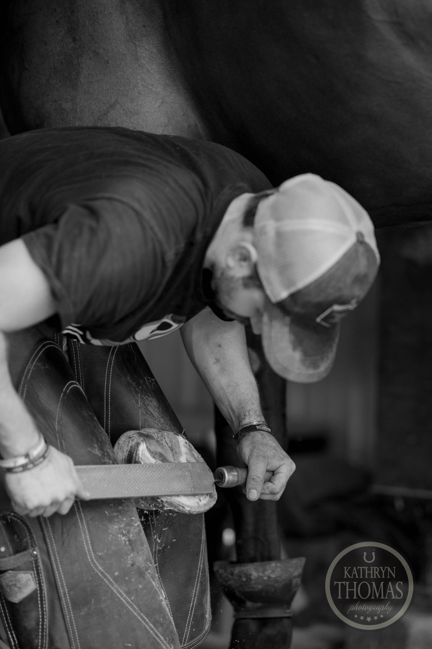 Farrier working to shape the horse hoof.