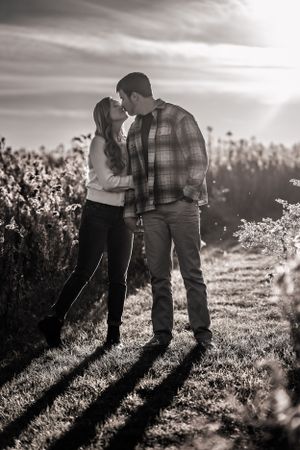 A romantic couple sharing an intimate moment in a field at sunset, casting long shadows on the sunlit grass.