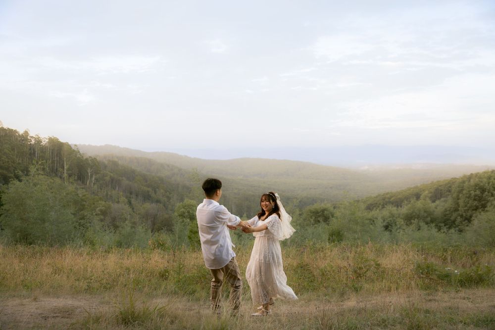 A romantic outdoor photoshoot in a mountain meadow with tall evergreen trees and misty hills in the background.