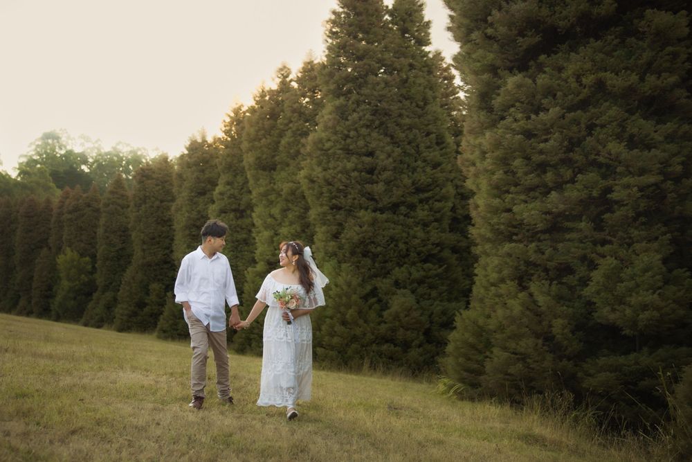 A couple poses together in a grassy meadow surrounded by evergreen trees during golden hour.