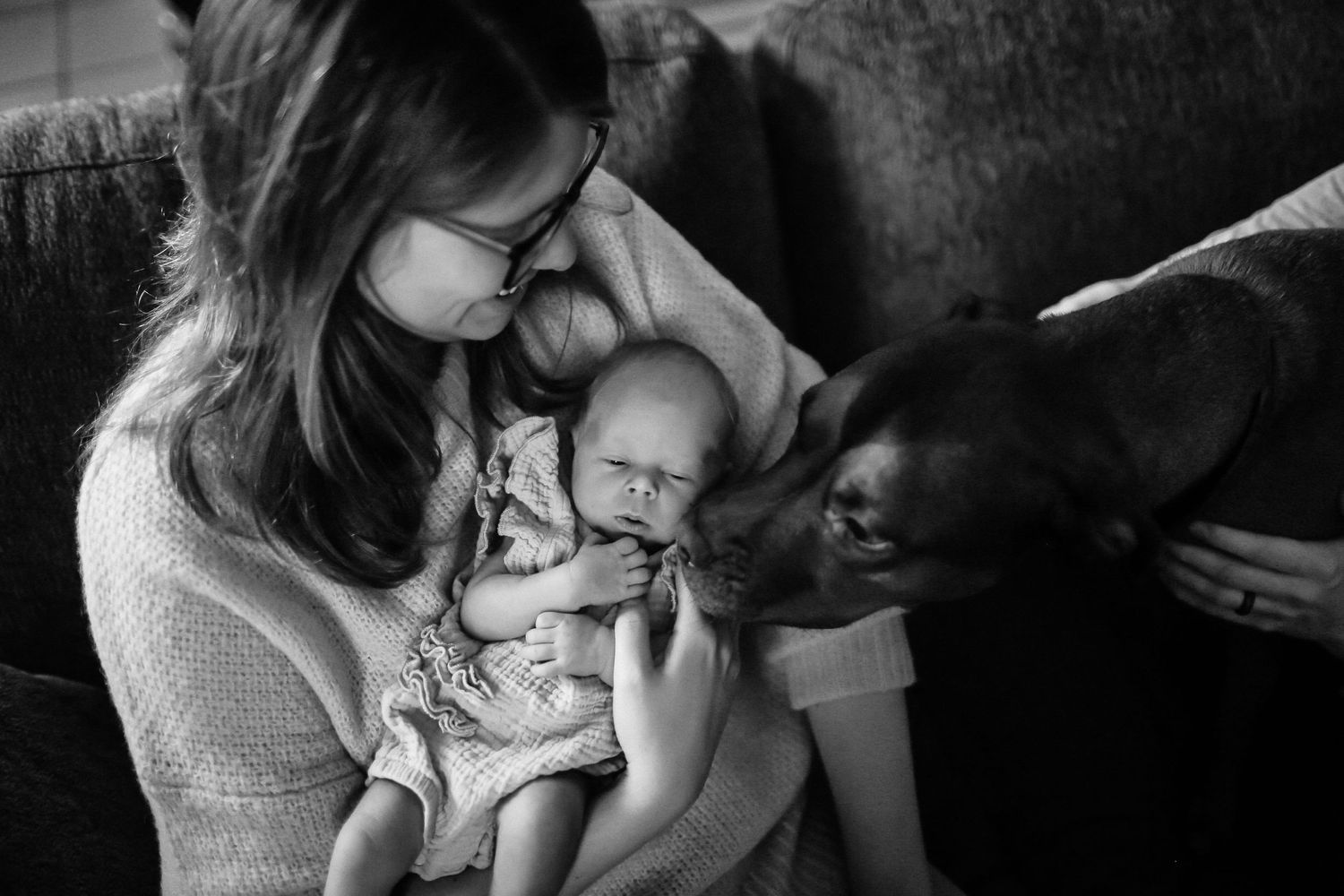 Mama holding daughter while their pup smells baby In-home lifestyle session
