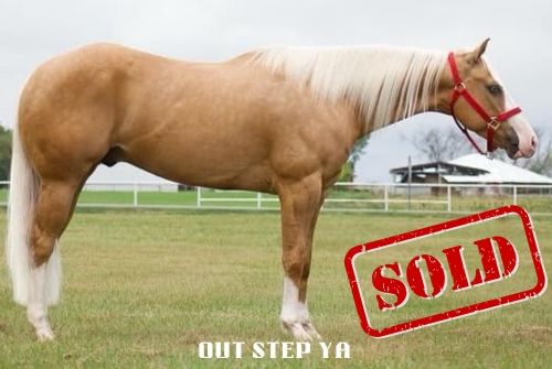 Briggs Performance Horses