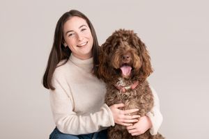 A chocolate-colored Labradoodle dog posing with someone in a studio setting.