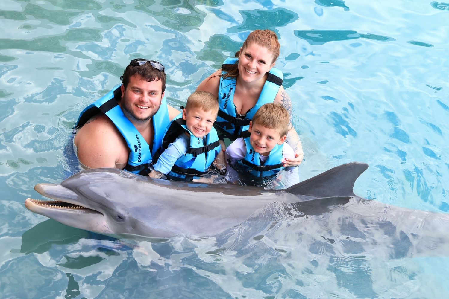 Swimmers interacting with dolphins in a blue pool during an aquatic experience.