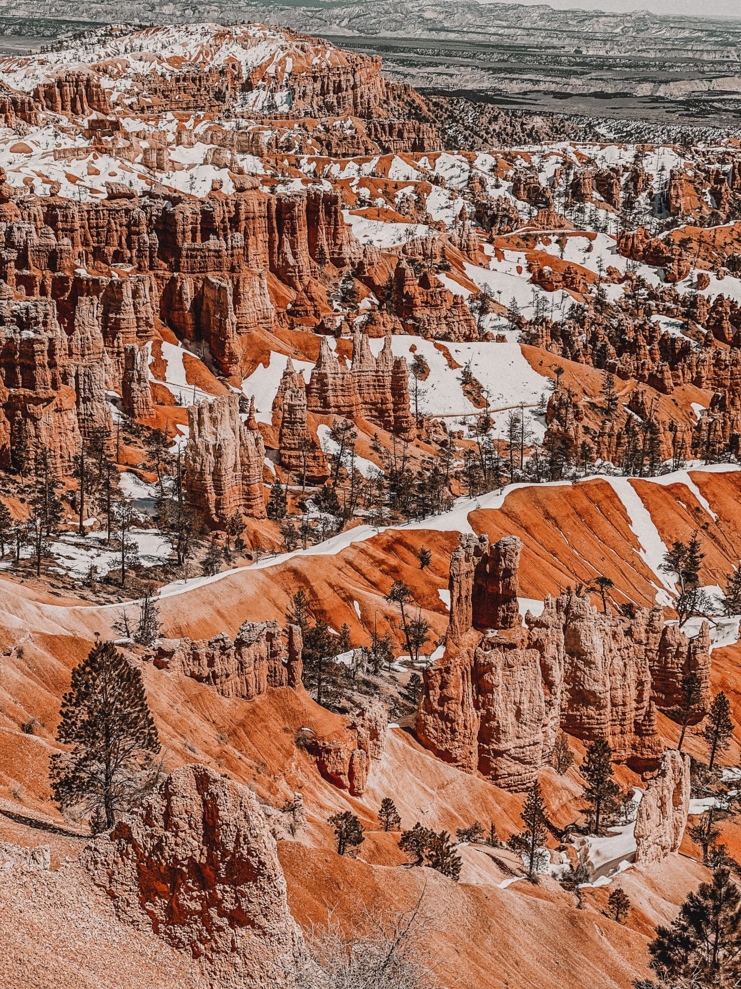 Panoramic winter view of snow-dusted red rock hoodoos and spires in Bryce Canyon National Park at sunset.