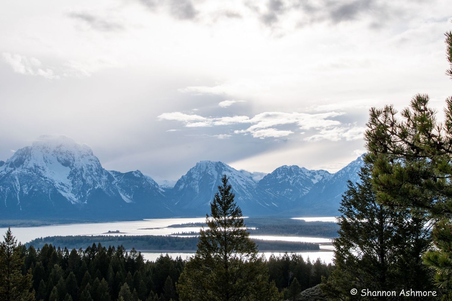 Snow-capped Grand Teton mountain range reflected over a misty lake surrounded by pine trees.
