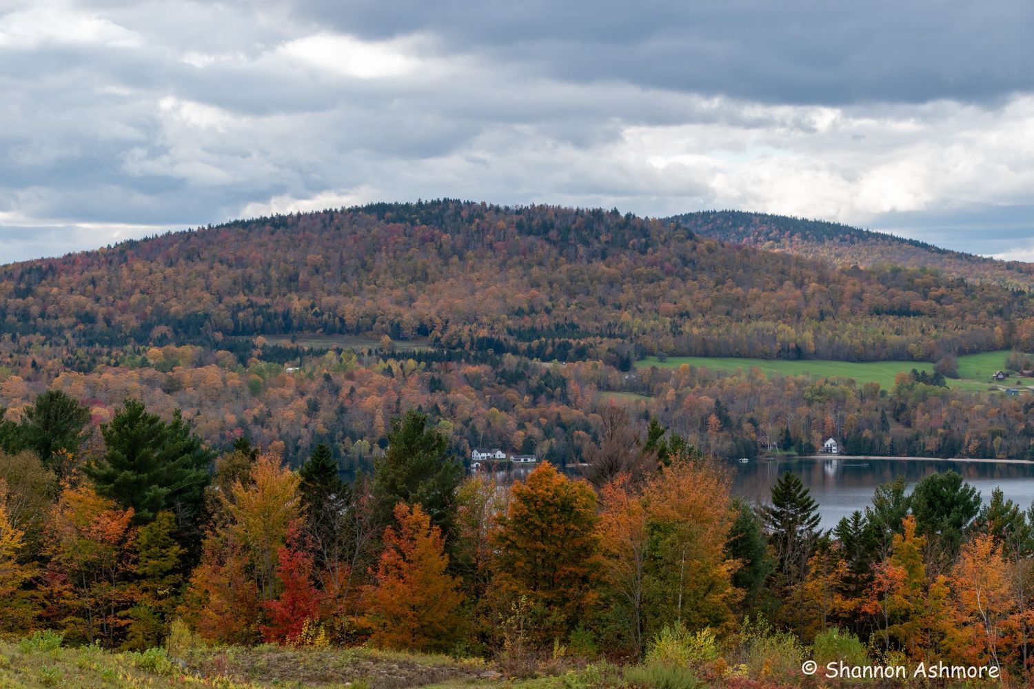Colorful autumn foliage covering hillside with lake and overcast sky in New England landscape.