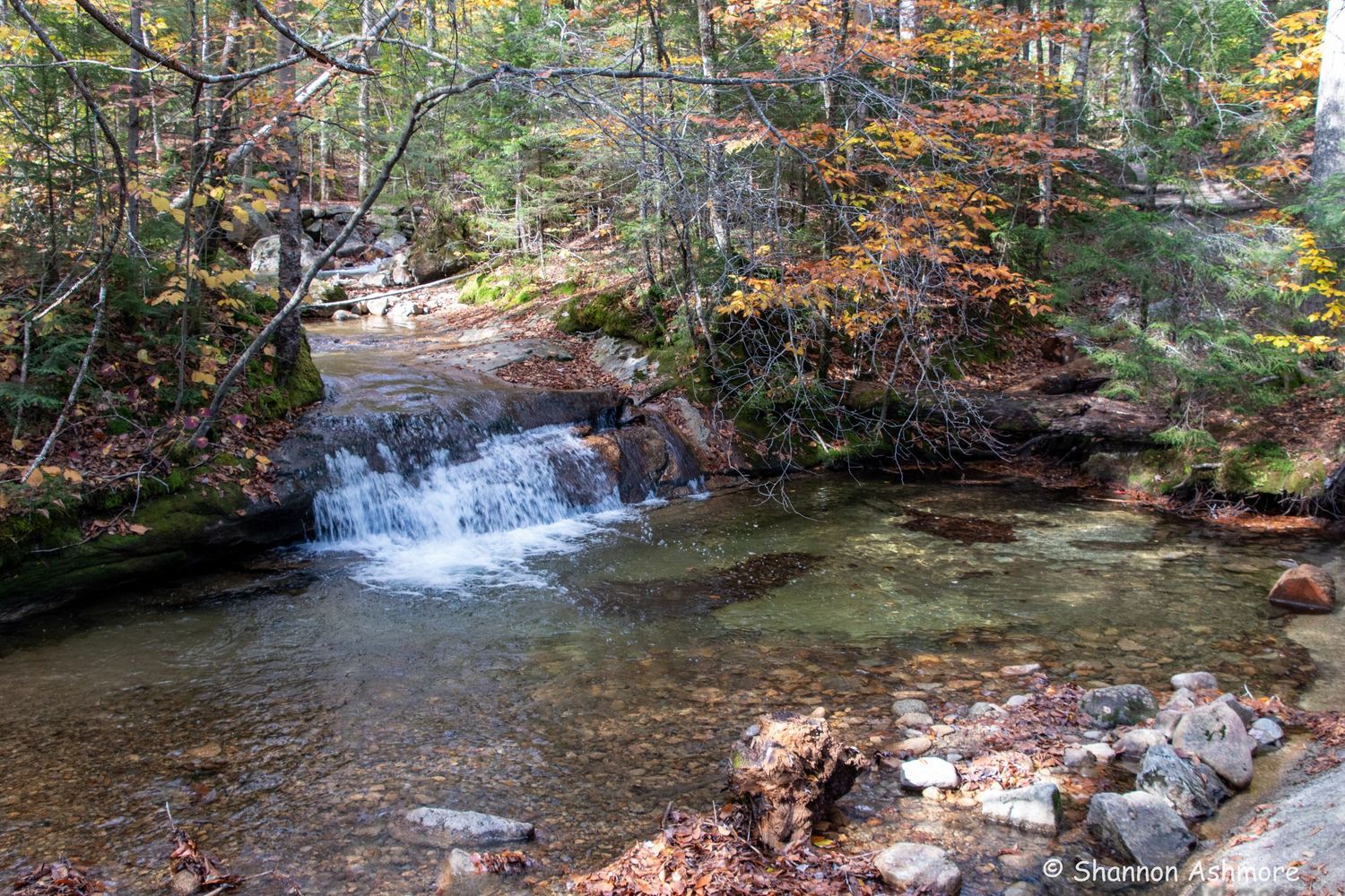 A small waterfall cascades over rocks in a forest stream surrounded by fall foliage.