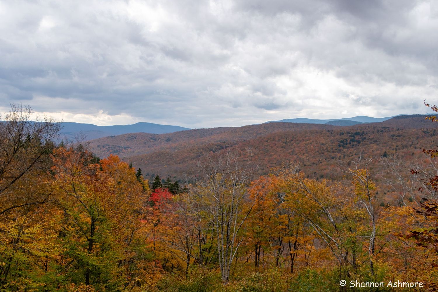 Panoramic view of rolling mountains blanketed in vibrant autumn colors under a cloudy sky.