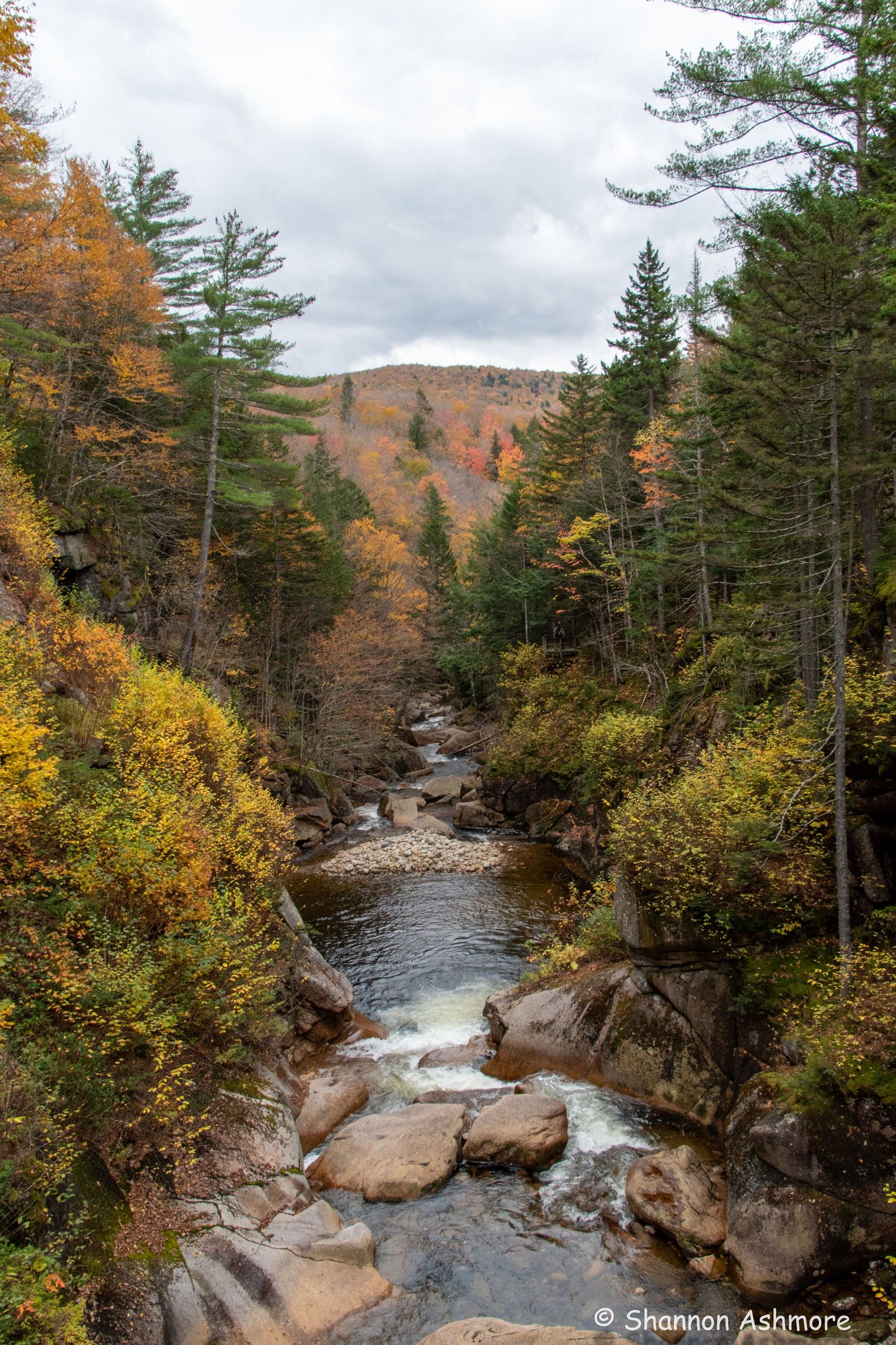 A rocky mountain stream flows through a narrow gorge lined with colorful autumn trees.