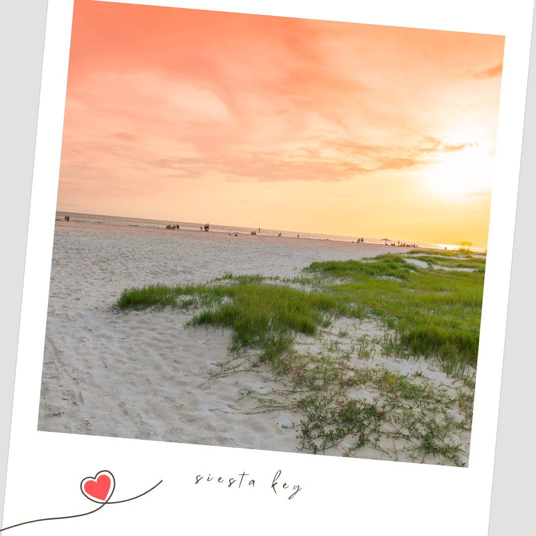 Scenic beach landscape with green sea grass and golden sunset sky over calm waters. Siesta Key Florida Flying Dress Photoshoot