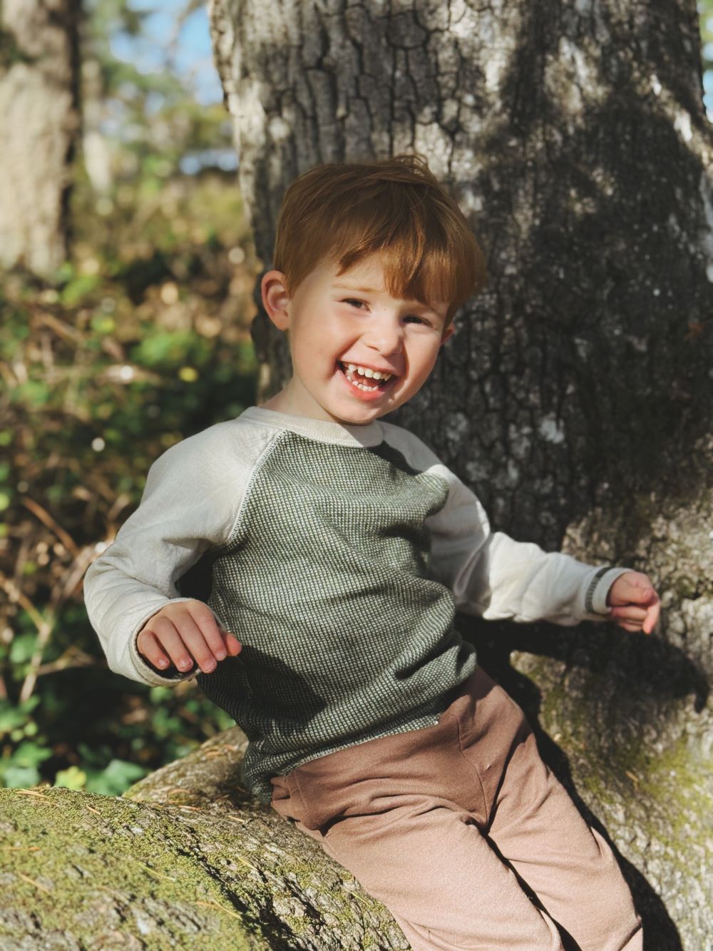 A child sits on a mossy tree trunk wearing a gray sweater and beige pants while laughing joyfully in the sunlight.