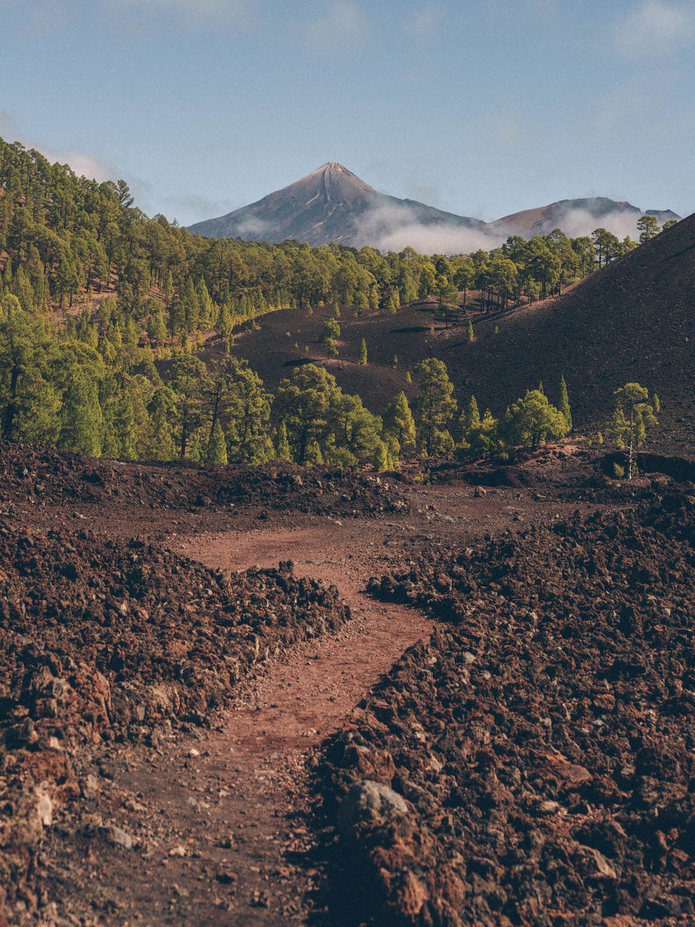 A winding trail cuts through a volcanic landscape with mountains and pine forests in the distance.