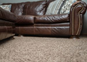 Close-up view of plush beige carpet against dark brown leather couch with brass nailhead trim.