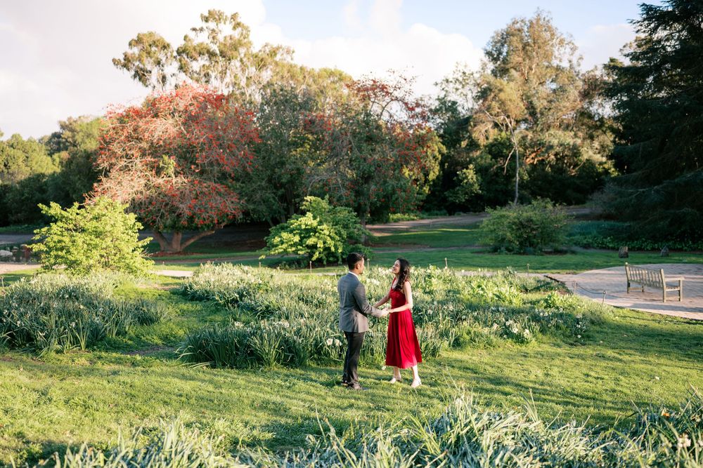 A person in a red dress walks through a lush green meadow during golden hour sunset lighting.