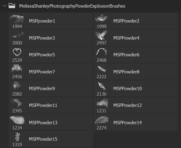 A dark interface displays a row of numbered powder brushes with preview thumbnails and file names in a digital workspace.