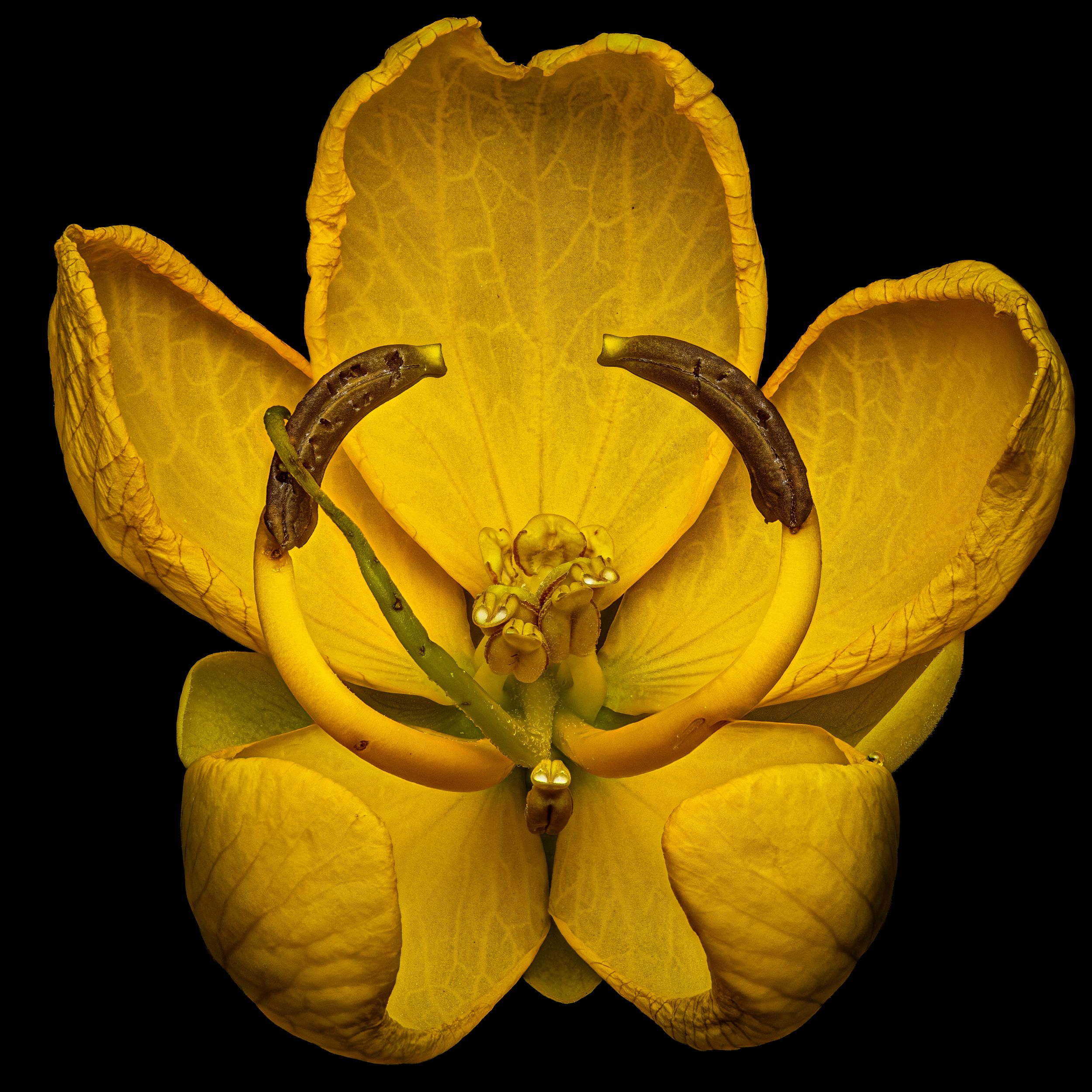 John Peters Photography