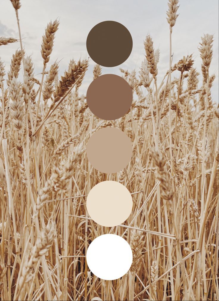 Paleta de colores recomendados para sesión de embarazo en exterior