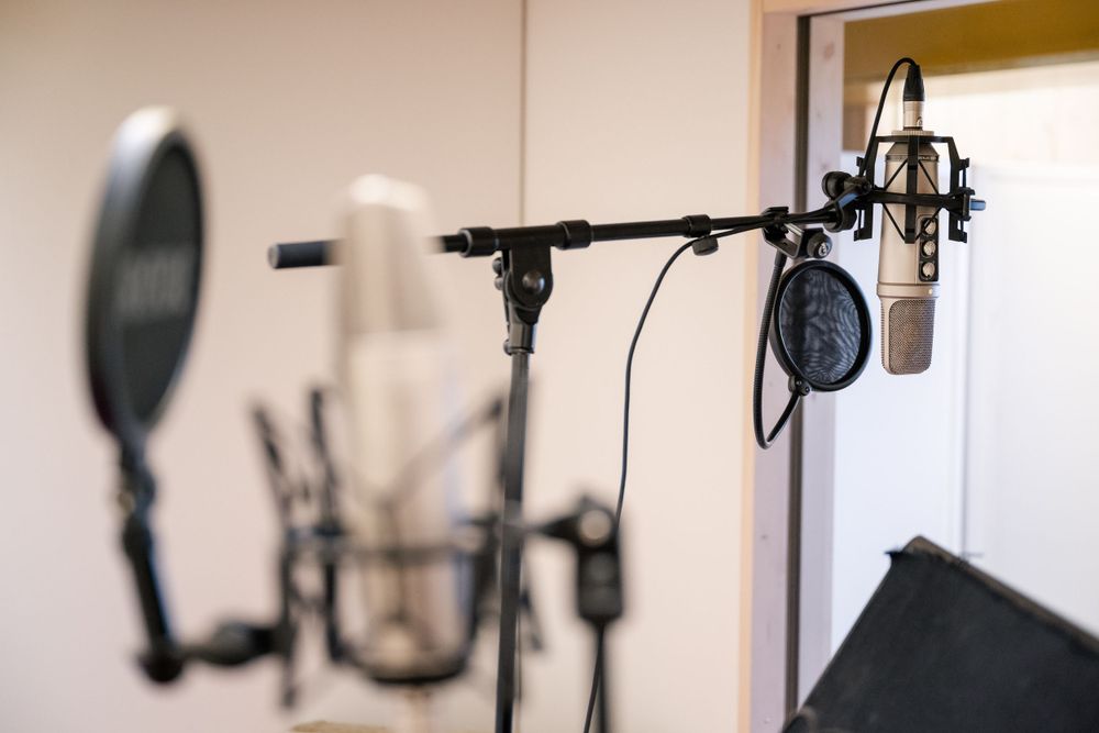 Professional recording studio microphone setup with pop filter and shock mount.