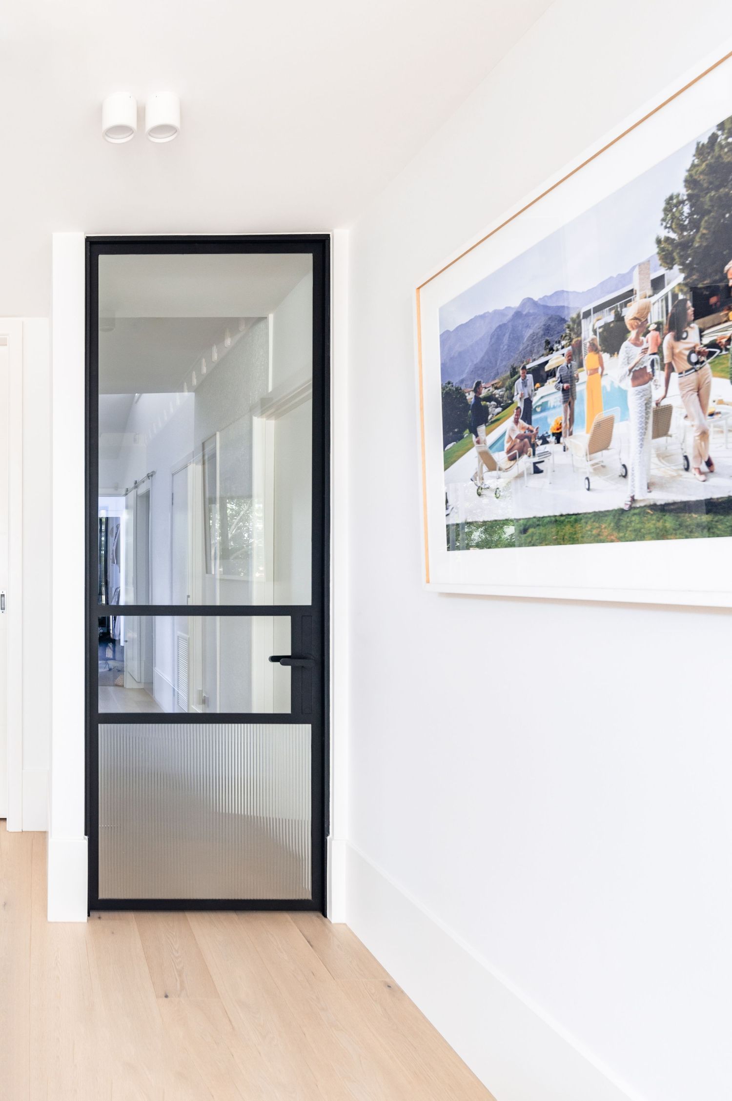 Minimalist hallway with black-framed glass door and light wood flooring.