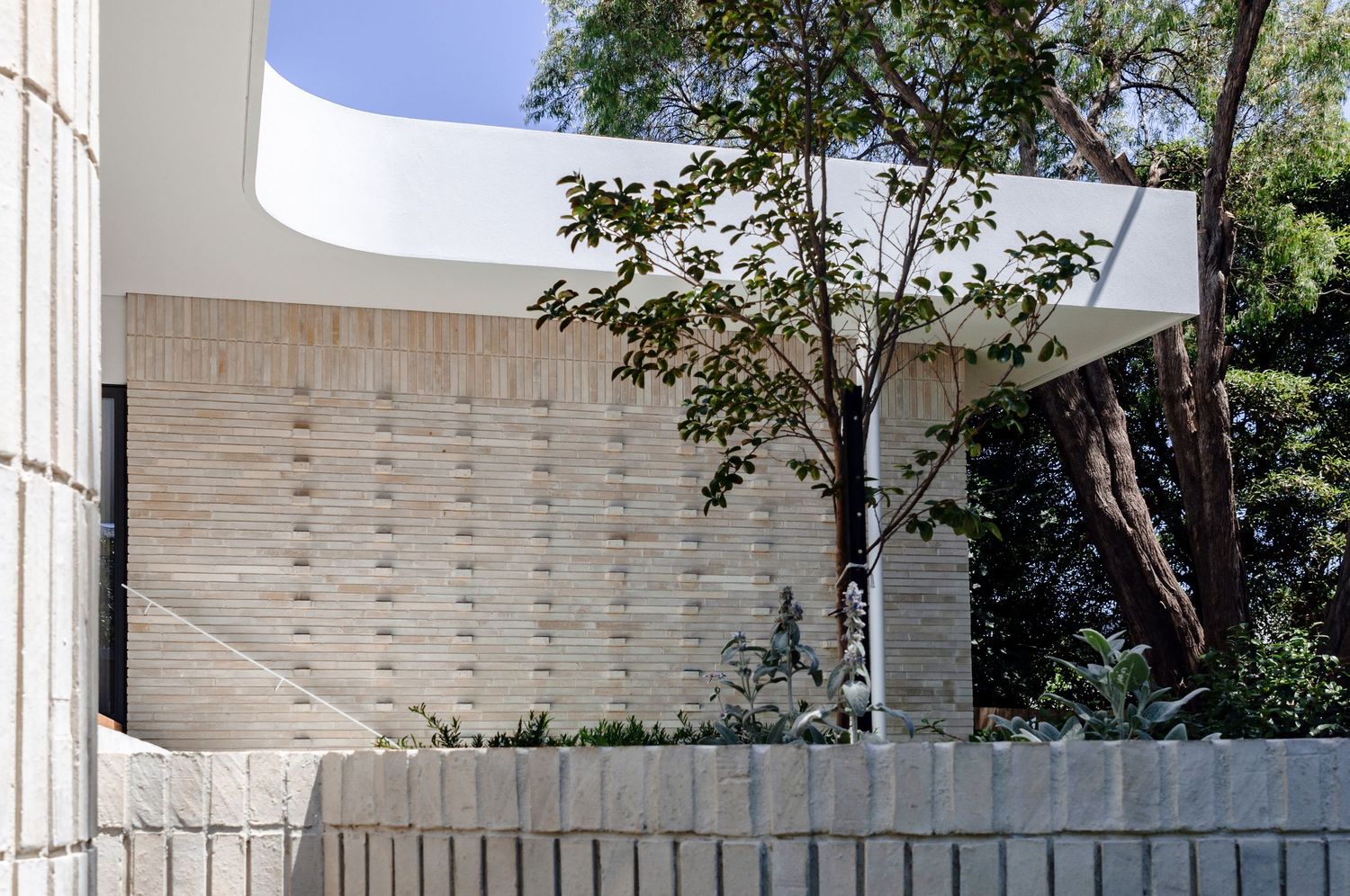 Modern architectural detail showing textured concrete wall and curved roofline with tree against blue sky.