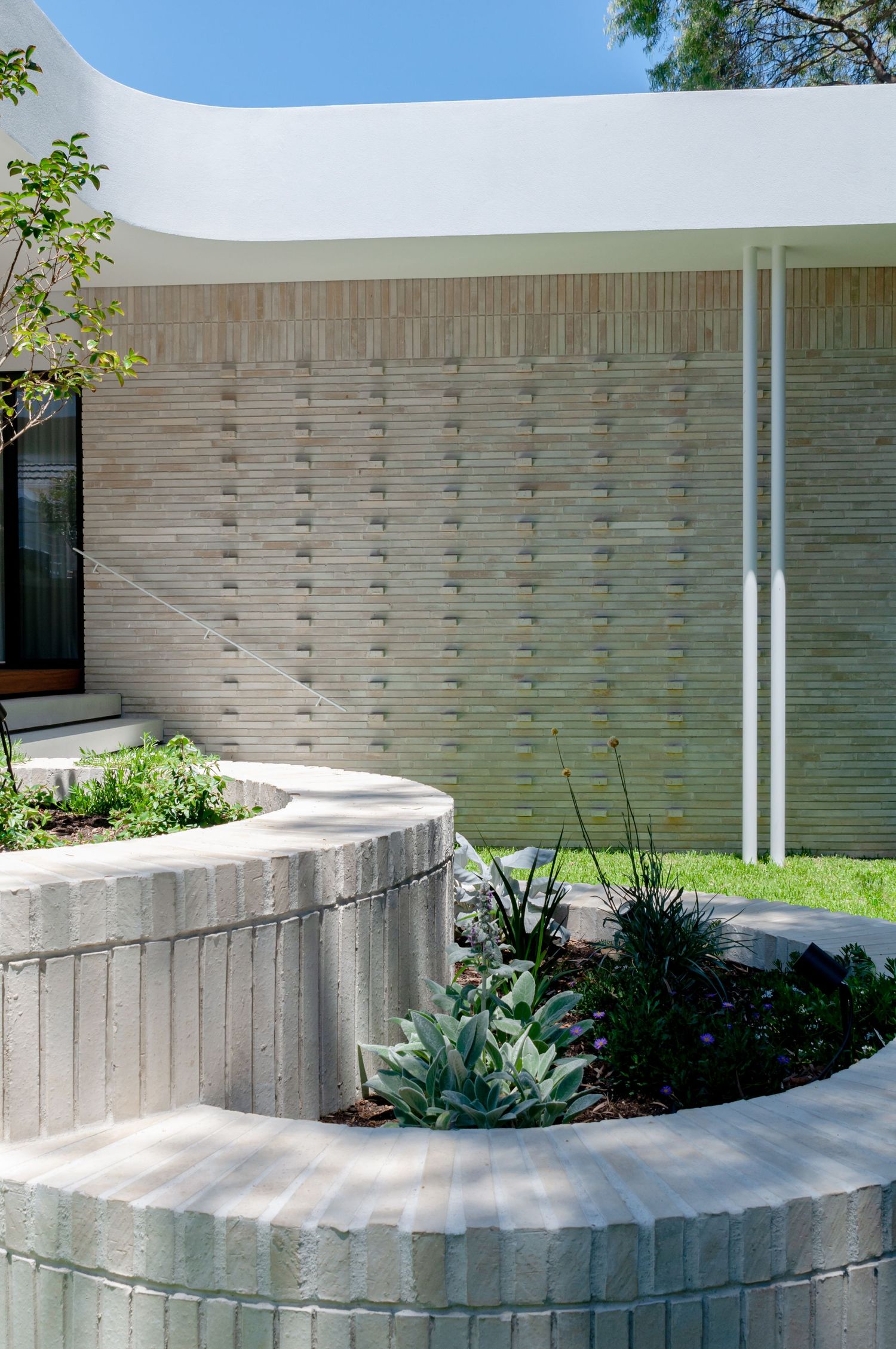 Close-up of curved concrete planter with succulents against textured architectural wall.